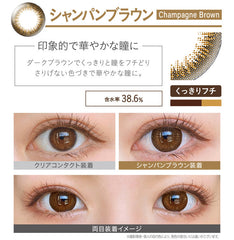 EverColor 1 Day 1 Day Natural Champagne Brown (20 Pack)