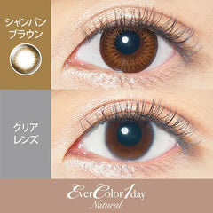 EverColor 1 Day 1 Day Natural Champagne Brown (20 Pack)