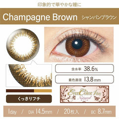 EverColor 1 Day 1 Day Natural Champagne Brown (20 Pack)