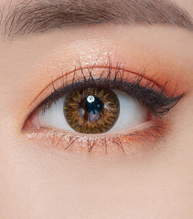 OLENS Dollywink Brown 6 months disposable Contact Lenses (1 Lens)
