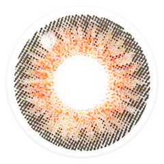 Lenstown Swan Choco Color Contact Lenses Monthly (1 Pack)