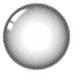 Lenstown 247 Bom Gray Monthly Contact Lenses (2 Pack)