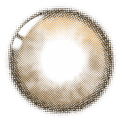 Lenstown To Better Big 1-Day Brown (10 Pack)