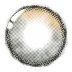 Lenstown To Better Big 1-Day Black (10 Pack)