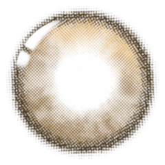 Lenstown Tobetter Brown Monthly Contact Lenses (2 Pack)