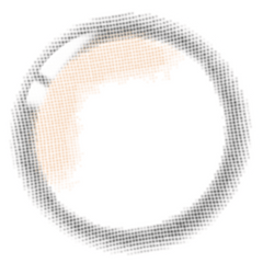 Lenstown Beloved Serum Brown Monthly (2 Pack)