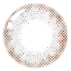 Lenstown 1-Day Lighly Lily Marry Gray (20p)