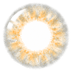 Lenstown 1-Day Lighly Fantasy Brown (20p)