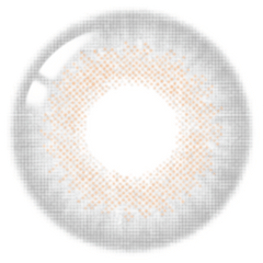 Lenstown Romantea London 1-Day Gray (10 Pack)