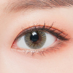 Lenstown Sweetpong Gray Monthly (1 Pack)