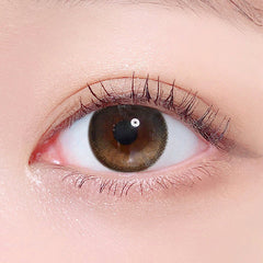 Lenstown To Better Big 1-Day Black (10 Pack)