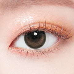 Lenstown Coconut 3color Tender Brown Monthly Lenses (2 Pack)