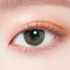 Lenstown Breeze2 Gray Circle Lenses Monthly (2 Pack)