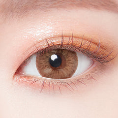 Lenstown 247 Fit 1-Day Brown (10 Pack)