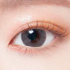 Lenstown ItsWater 1-Day Brown (10 Pack)