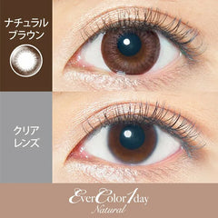 EverColor 1 Day Natural Brown (20 Pack )