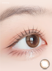 Lensrang 1-Month School Ring Brown (2 Pack)