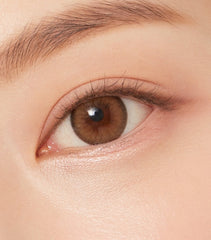 Olens Nils 1 Day Brown Colored Contacts (20p)