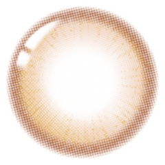 Lenstown 1-Day  247BB Honey Brown (10 Pack)