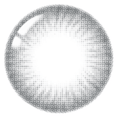 Lenstown 1-Day Lighly Modern Gray (20 Pack)