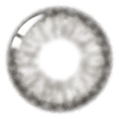 Lenstown ItsWater Silver (1-Month / 2 Pack)