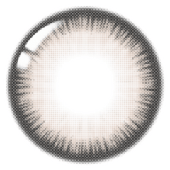 Lenstown Scotch 3color Gray (2 Pack)