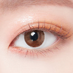 Lenstown 1-Day Lighly Modern Brown (20 Pack)